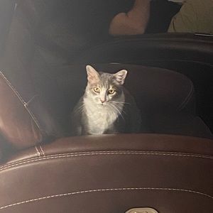 Meet your Posher, Jen